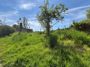 Garden- click for photo gallery